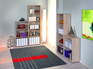 Bücherregal Parini 2 mit 2 Böden sonoma-eiche